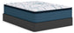 Limited Edition Plush Pt 3.0  Mattress