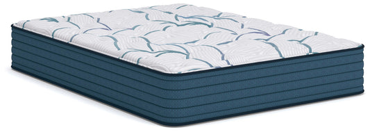 Limited Edition Plush 3.0  Mattress